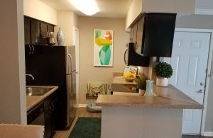 Oasis Apartments - Kitchen