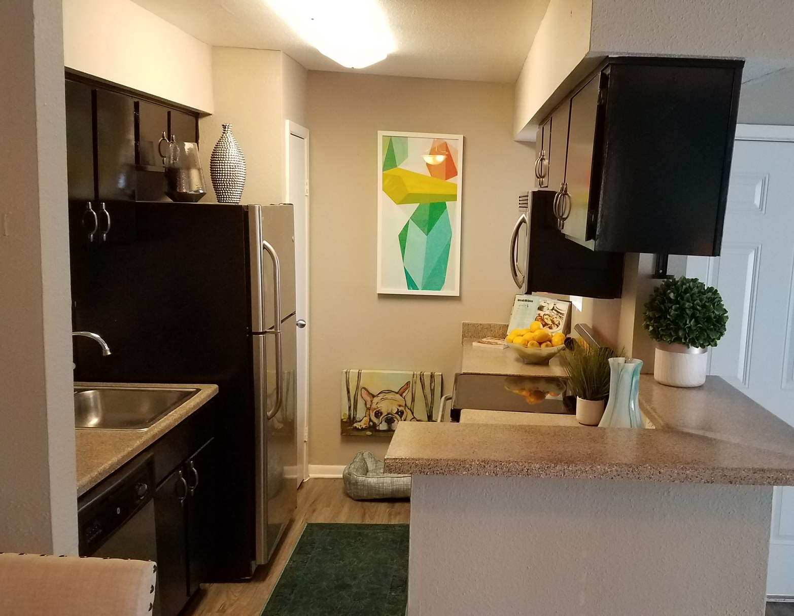 Apartment Amenities - Kitchen